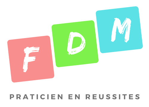 Logo FDM v16 Carrés – Sylvain Petit