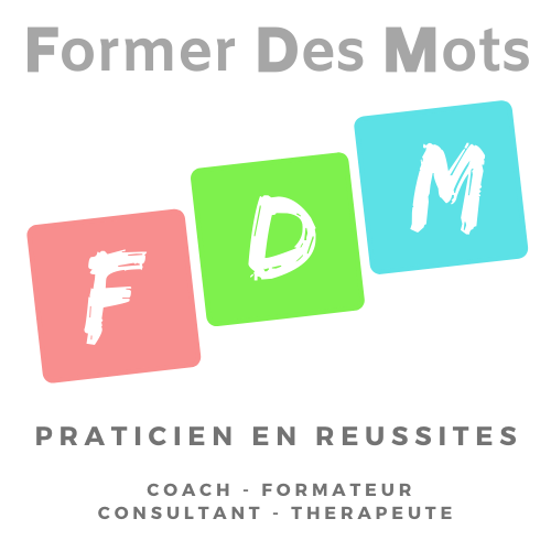 Logo FDM v16 Carrés – Sylvain Petit
