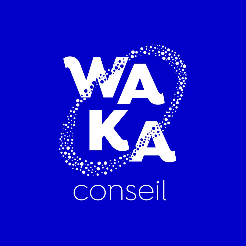 waka-conseil-logo-cmjn