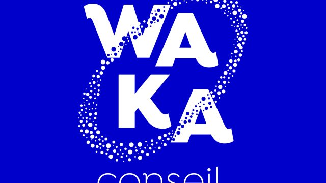 waka-conseil-logo-cmjn